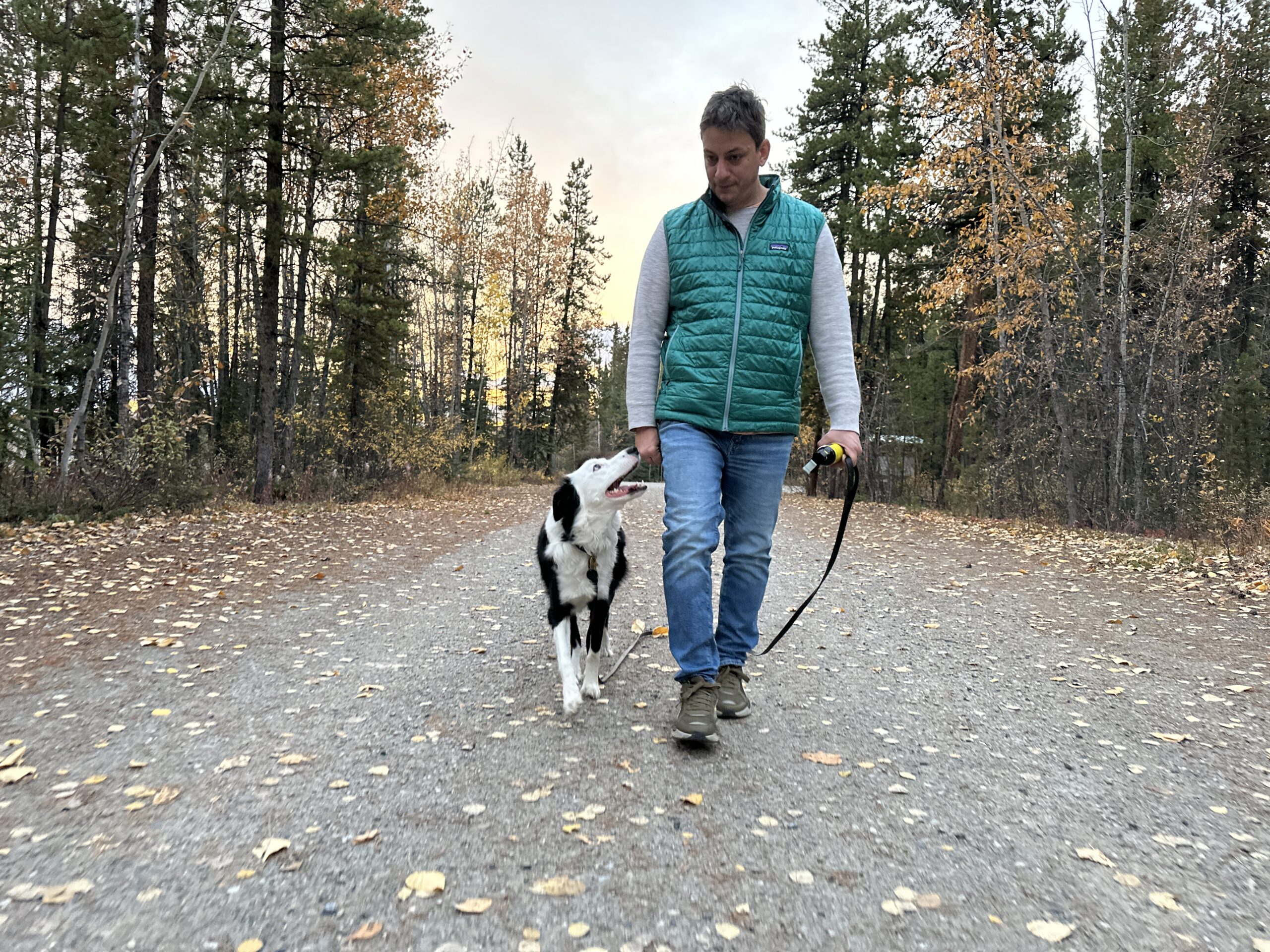 Zak walking on a wooded trail with a black-and-white dog looking up at him