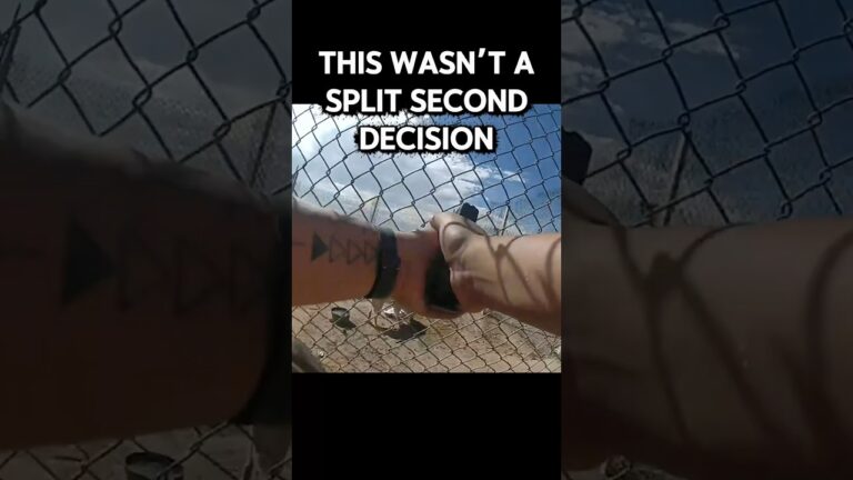 Seven abandoned dogs in Apache County