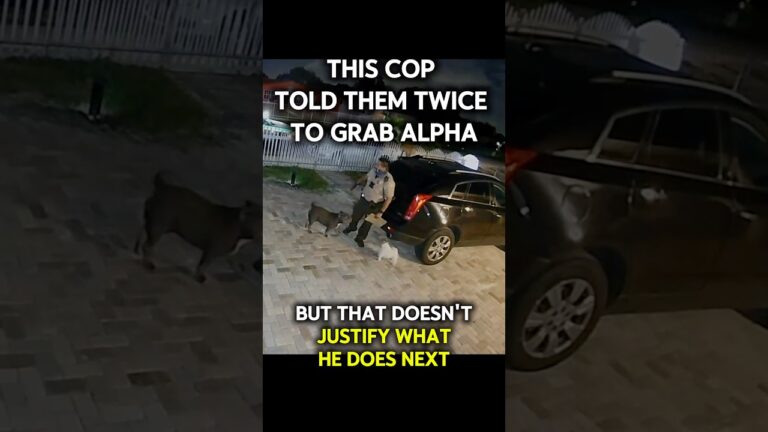 Alpha