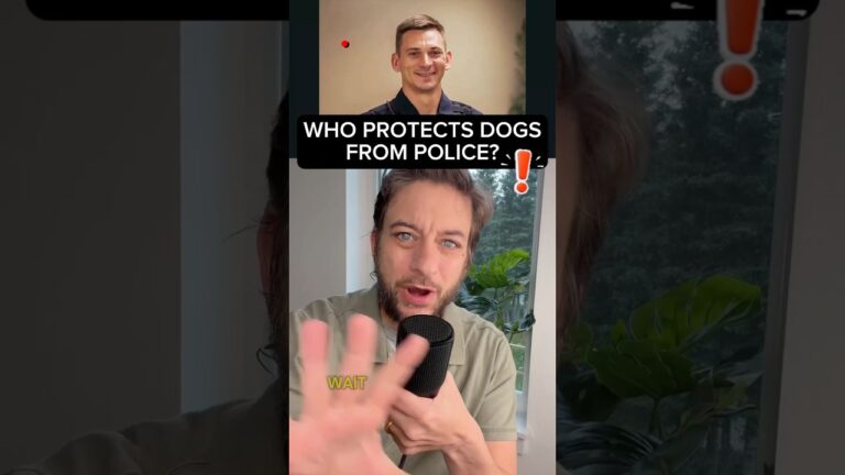 Apollo and Knox in Dexter