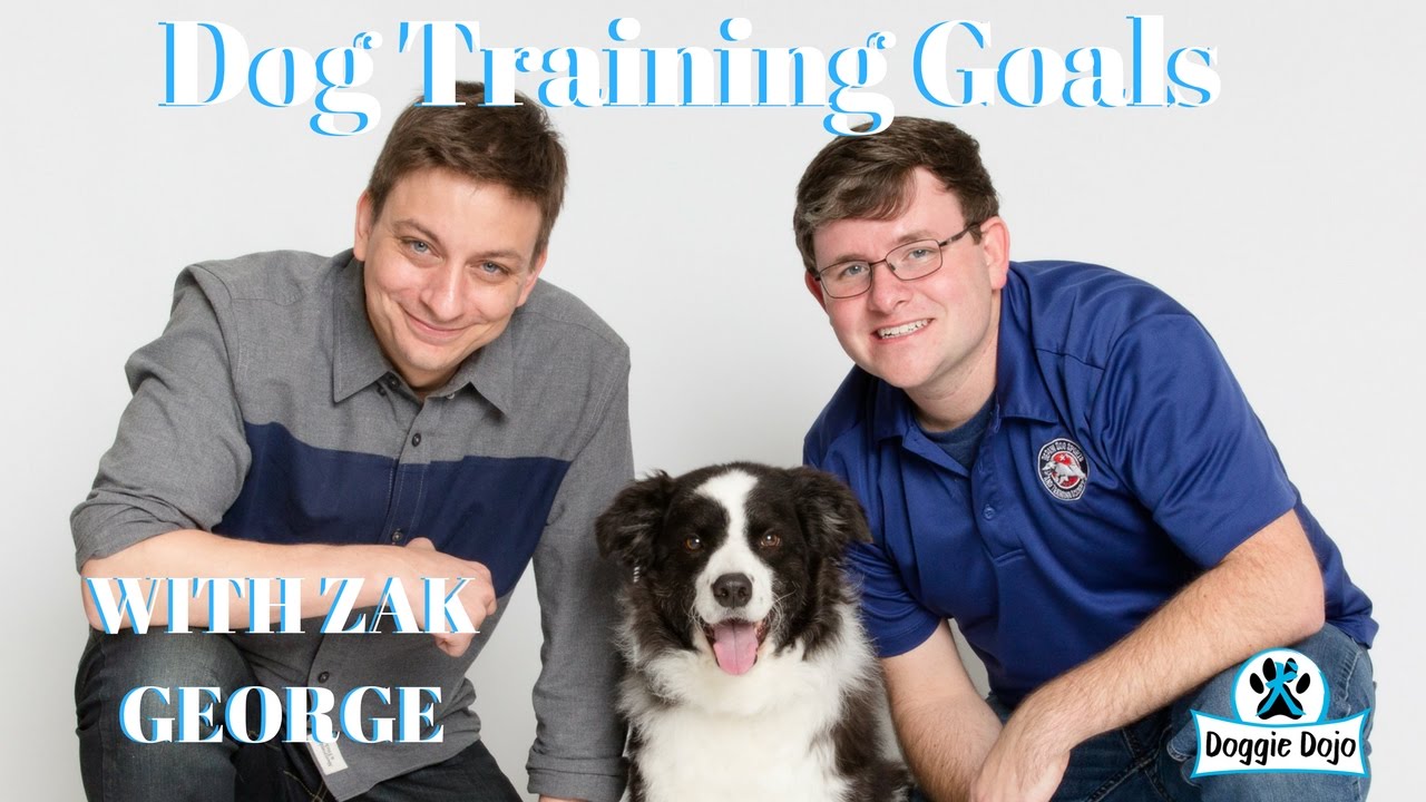 Doggie Dojo conversation with Zak George and Trevor Smith