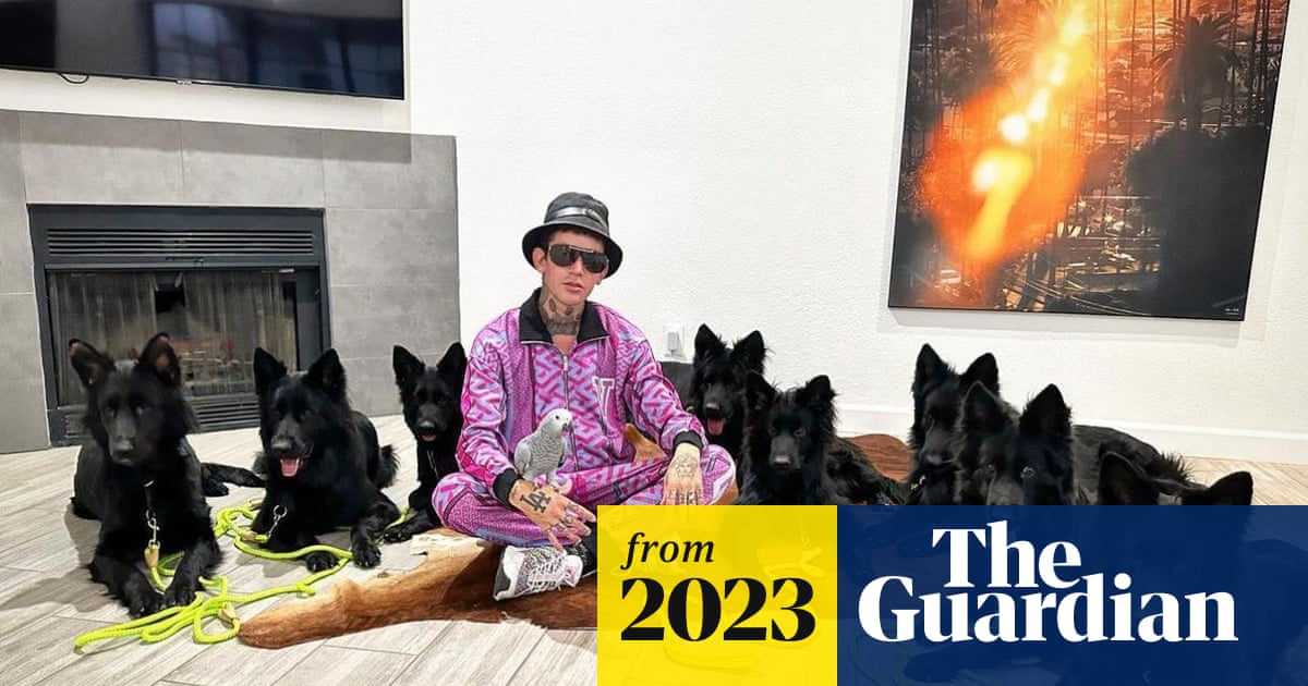 The Guardian article preview showing Augusto Deoliveira with dogs