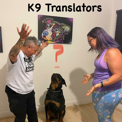 K9 Translators podcast cover
