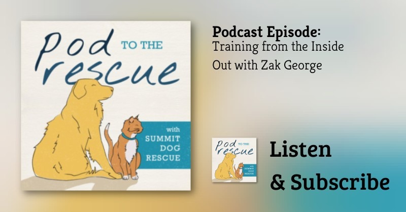 Pod to the Rescue artwork for Training from the Inside Out with Zak George