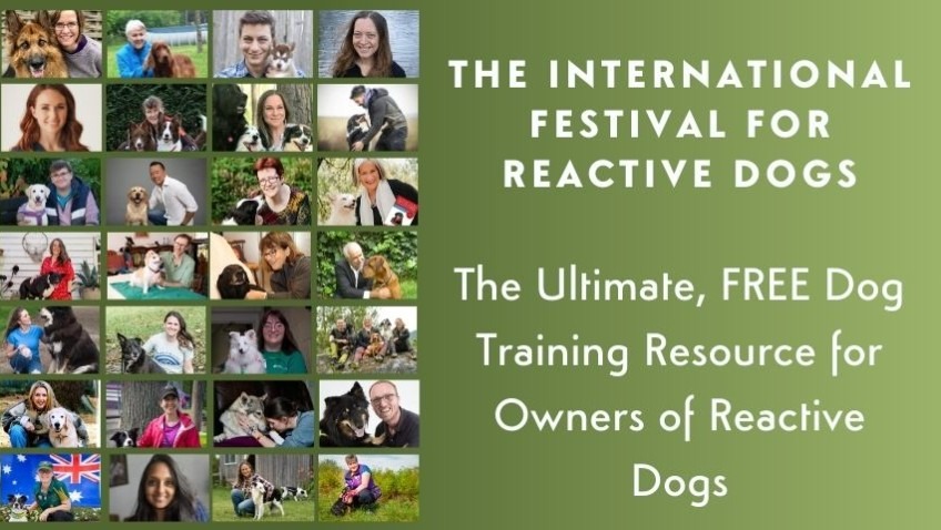 International Festival for Reactive Dogs event artwork