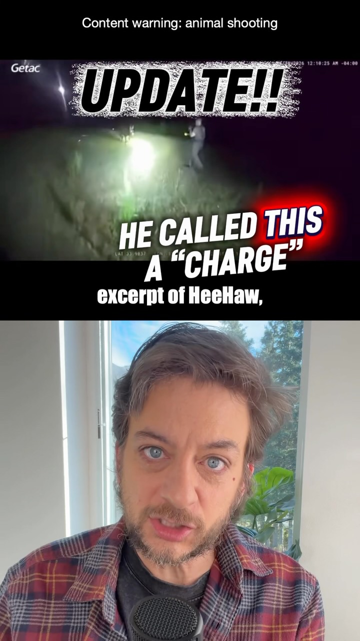HeeHaw